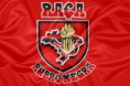 /album/ra%c3%a7a-rubro-negra-%5brrn%5d/rrn-jpg/
